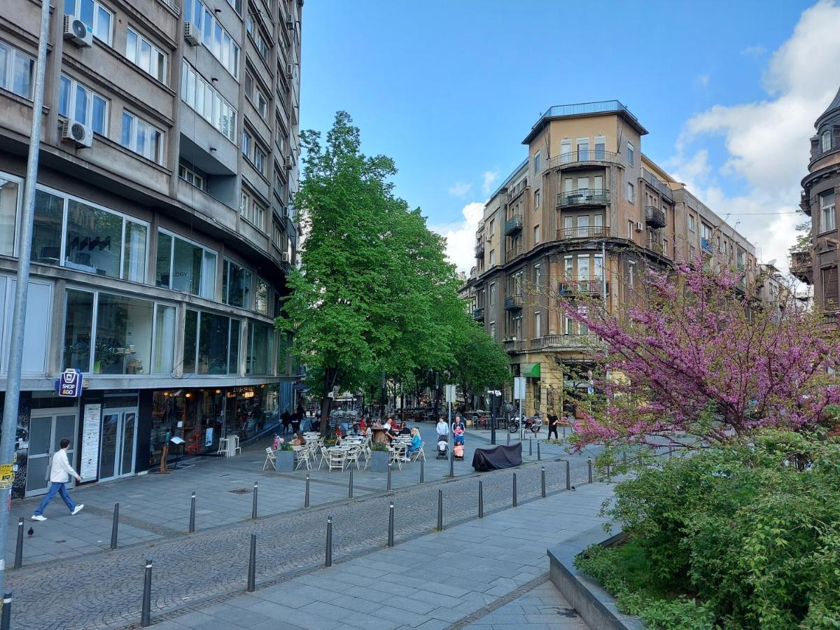 Lotta Apartment Belgrado Exterior foto